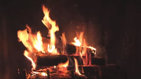 5 Relaxing Wild Music with Beautiful Fireplace