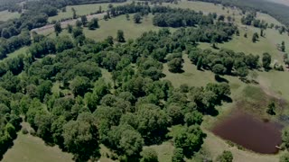 92ac Timber & Hay Property; Mount Enterprise, Texas