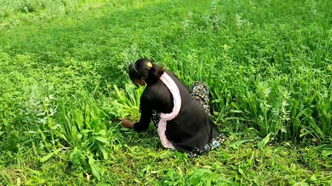 Uttar Pradesh Rural Life India ¶ How Farmers Spend Their Lives During Rainy Days We Do