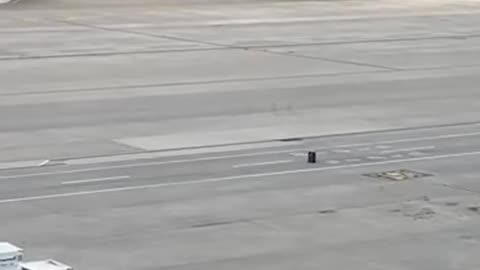 Luggage Rolls Across Airport Ramp