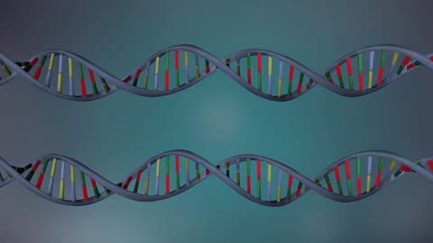 DNA Replication explained