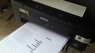 Service Printer Epson L210, the case pulls a lot of paper