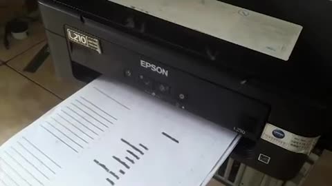 Service Printer Epson L210, the case pulls a lot of paper