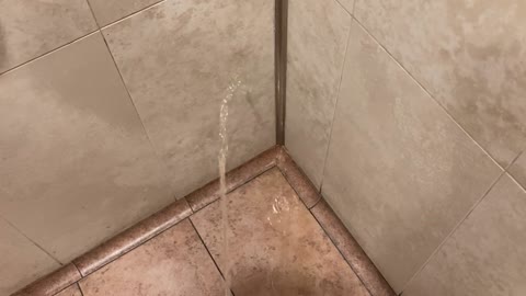 corner piss urination