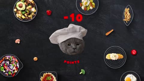 The Cat Cooking Show 2-20