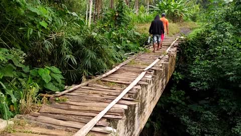 a trip to the forest and bridge buildings from the Dutch era in Indonesia