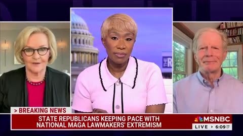 Joy Reid Goes On Ridiculous Rant In SAD Clip