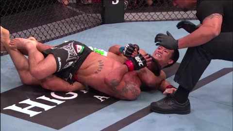 Top 20 Submissions in UFC History