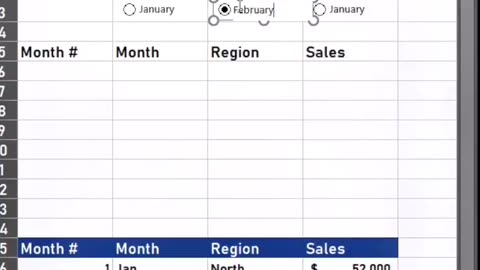 How to create radio button on Excel.