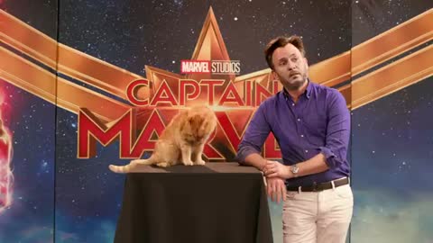 Goose the Cat gets ready for the Captain Marvel Red Carpet!_Cut