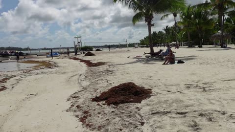 Boca Chica Beach Dominican Republic