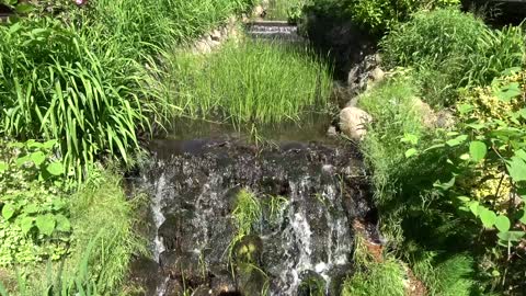 Soothing Sounds to Sleep by, Running Water in a Brook