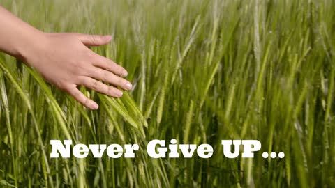 motivational quote /Never Give Up.....