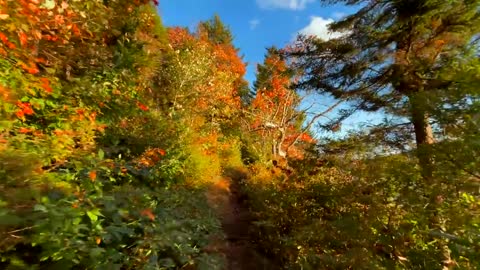 The Beauty of Peak Fall Foliage 🍁 Autumn in New England Part 1-15