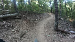 Mt Nebo AR Chickalah Downhill