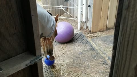 Ball with a string