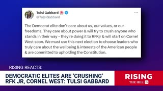 Tulsi Gabbard FLAMES Dem Elites For VILIFYING RFK Jr, Cornel West: 'NO Conscience'