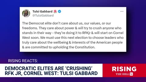 Tulsi Gabbard FLAMES Dem Elites For VILIFYING RFK Jr, Cornel West: 'NO Conscience'