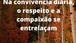 #respeitoecompaixão