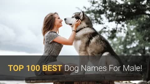 🐕 TOP 100 BEST Dog Names For Male – Dog Name Ideas 2022