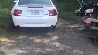 2000 Mustang moves for the first time in 5 years