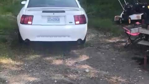 2000 Mustang moves for the first time in 5 years