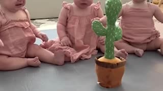 Triple baby cry