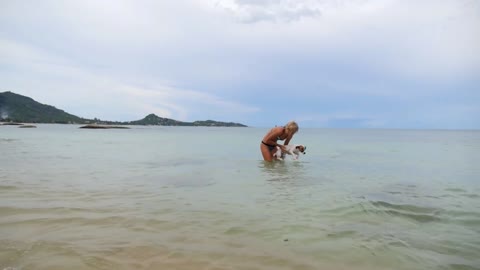 Slim Attractive Woman Playing with Jack Russel Puppy in Sea at Beach