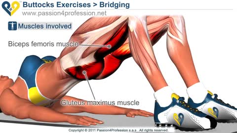 BEST Tone Buttocks exercise - Reduce buttocks and thighs with Bridging exercise