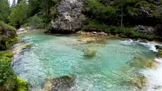 river #nature #river #shorts #short