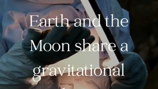 Moon and Earth Gravitation