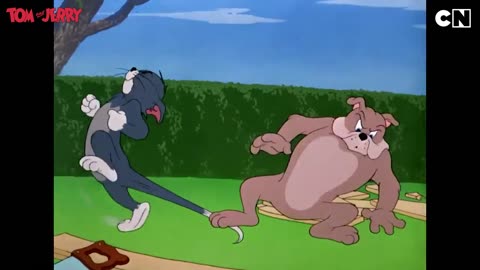 Tom and Jerry Frenemies Forever | Tom and Jerry Cartoon | only on Cartoon Network India
