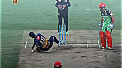 Cricket 🏏