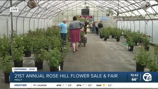 Rose Hill Flower Sale & Fair