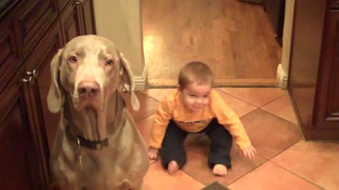 Baby and dog practice new trick simultaneously