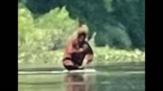 BIGFOOT ATTEMPTS TO CAPTURE FISHERMAN