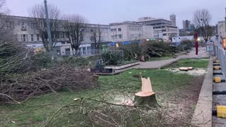 Overnight Plymouth’s Conservative council chopped down nearly 100 trees for 5G