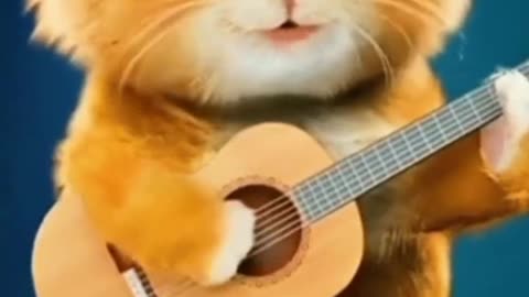 cute cat singing