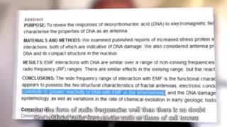 5G ELECTROMAGNETIC FREQUENCIES (EMF)