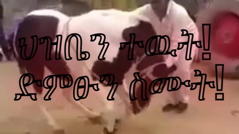 አብይ አህመድ ሰከን በል !