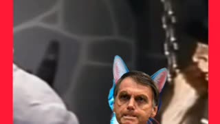 BRUXA DO 71 RECONHECEU BOLSONARO