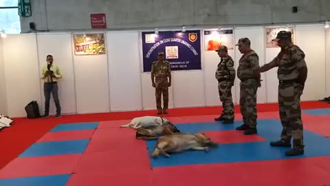 CISF demonstration of Dog Squad