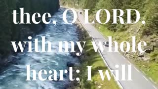 I will praise thee, O LORD, with my whole heart; I will shew forth all thy marvellous works.