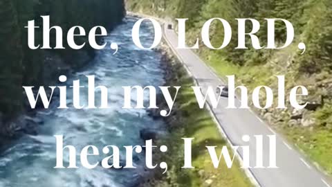 I will praise thee, O LORD, with my whole heart; I will shew forth all thy marvellous works.