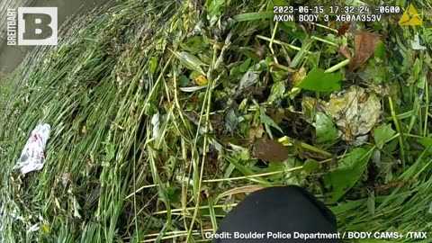 RACCOON CITY! Boulder Police Rescue Family of Raccoons After Flood