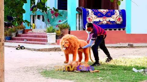 Best Prank Collection Top Fake Lion Prank Real Dog Super Funny