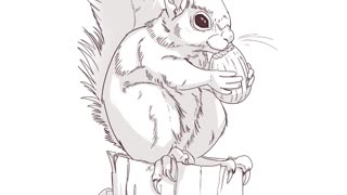 squirell 2 - digital