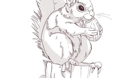 squirell 2 - digital