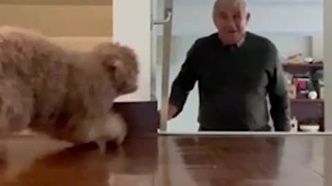 CUTE PUPPY WAITS FOR OWNER AND SCARES HIM