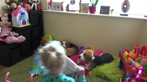 Toddler prepares her cute puppy and dog to sleep